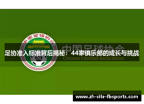 足协准入标准背后揭秘：44家俱乐部的成长与挑战
