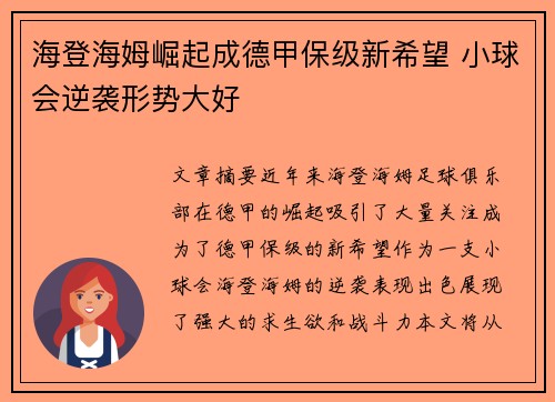 海登海姆崛起成德甲保级新希望 小球会逆袭形势大好